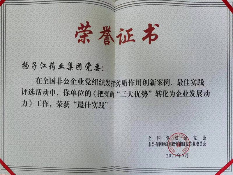 全國非公企業(yè)黨組織發(fā)揮實(shí)質(zhì)作用最佳實(shí)踐（2021）